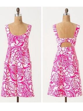 Anthropologie Vanessa Virginia “Garden Party" Pink White Summer Dress 12